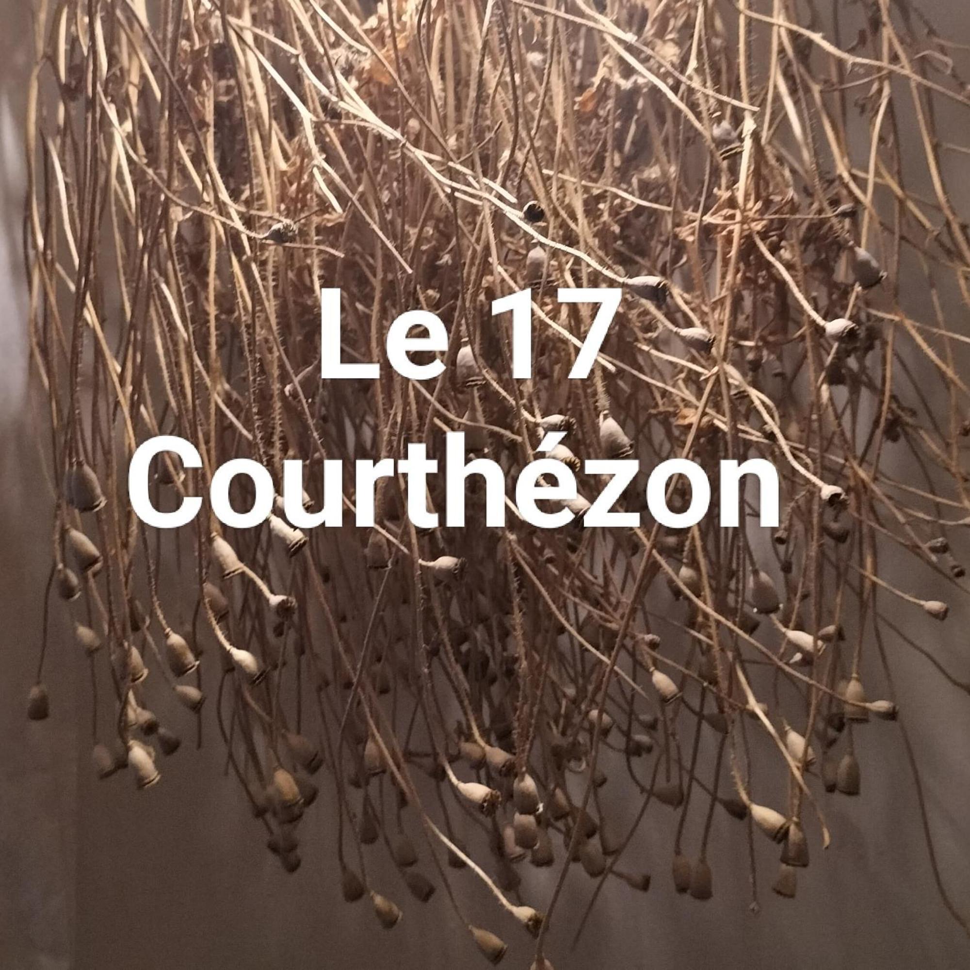 Hotel Le 17 Courthézon Esterno foto